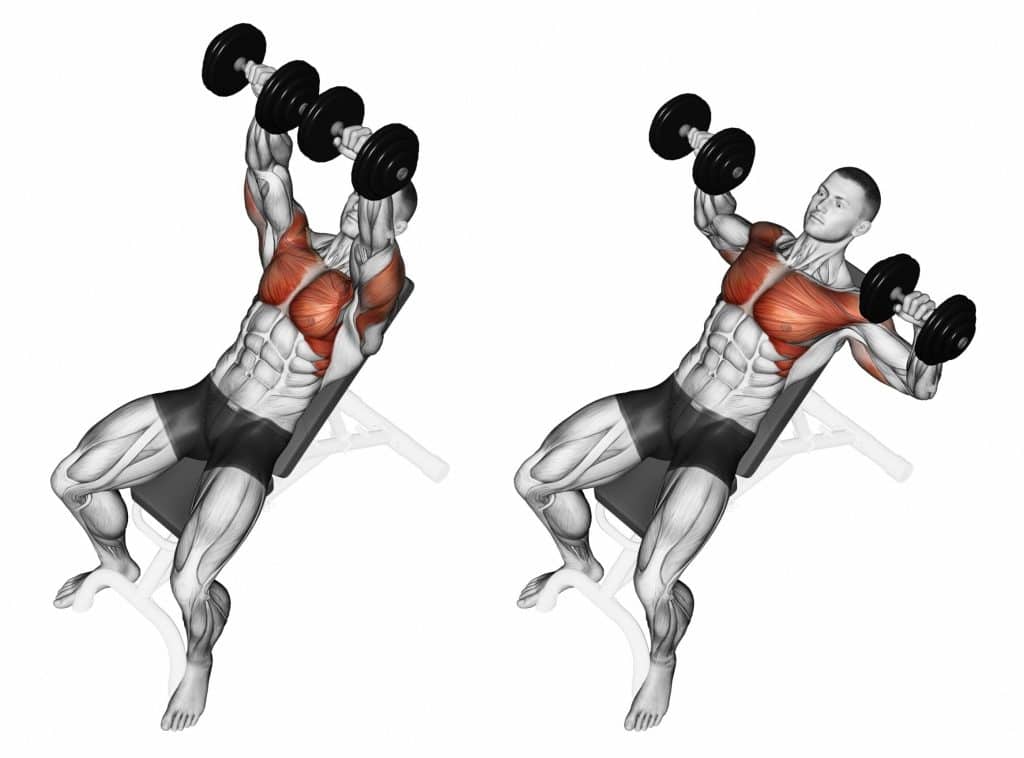 Incline Dumbbell Press